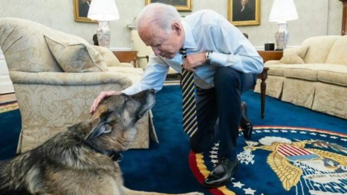 Champ biden